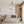 Six-Light Sputnik Semi Flush Ceiling Light