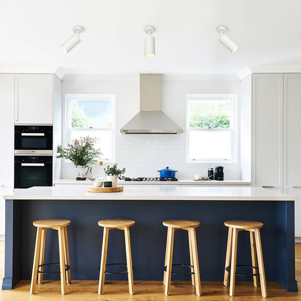 Thehouselights - 1 Light Directional Ceiling Light Spot Light Track Light - Ceiling Light - White - 