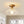Thehouselights - 1 - Light Glass Lotus Dome Flush Mount Ceiling - Ceiling Light - Clear - 