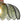 Thehouselights - 1 - Light Glass Lotus Dome Semi Flush Mount Ceiling - Ceiling Light - Green - 