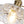 Thehouselights - 1 - Light Lotus Dome Glass Flower Design Pendant Light - Pendant - Clear - 