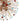 Thehouselights-12-Light Joyful Rainbow Starburst Sputnik Chandelier-Chandelier-Rainbow Brass-