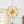 Thehouselights-12-Light Joyful Rainbow Starburst Sputnik Chandelier-Chandelier-Rainbow Brass-