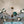 Thehouselights - 15 - Light Blue Branch Sputnik Chandelier - Chandelier - Black - 