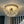 Thehouselights - 5 - Light Crystal Dandelion Semi Flush Chandelier - Chandelier - Brass - 