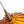 Thehouselights - Lotus Dome Glass Flower Pendant Light - Pendant - Amber - 