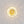 Thehouselights - Modern Oval Water Glass Flush Mount Ceiling - Ceiling Light - Brass - 