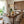 Thehouselights-Polished Design Glass Pendant Lighting-Pendant-Amber-