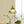 Thehouselights - Stylish Flower Strip Glass Pendant Light - Pendant - Green - 