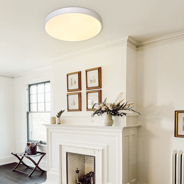 Modern Circle LED Flush Mount Ceiling Light