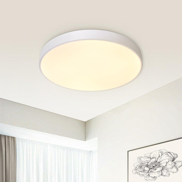 Thehouselights-Modern Circle LED Flush Mount Ceiling Light-Flush Mount-19 in.-Warm White/ White