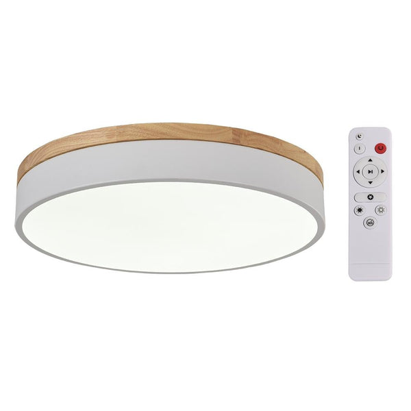 Kitchens 'n Lights-Modern 1-Light LED Flush Mount Drum Light-Flush Mount-30 cm-White