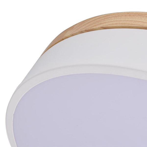 Kitchens 'n Lights-Modern 1-Light LED Flush Mount Drum Light-Flush Mount-30 cm-White