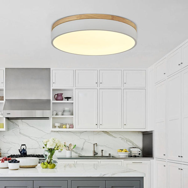 Kitchens 'n Lights-Modern 1-Light LED Flush Mount Drum Light-Flush Mount-30 cm-White