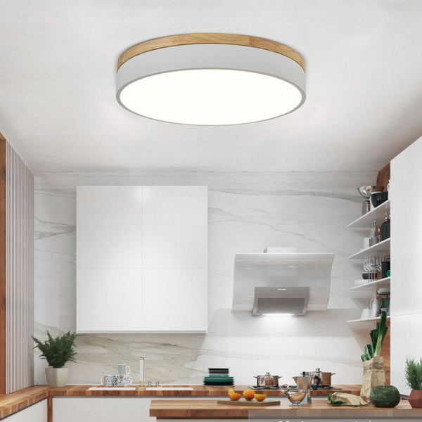 Kitchens 'n Lights-Modern 1-Light LED Flush Mount Drum Light-Flush Mount-30 cm-White