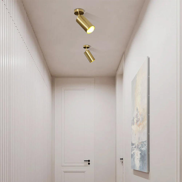 Thehouselights-1 Light Brass Ceiling Light Spot Light Track Light-Ceiling Light--
