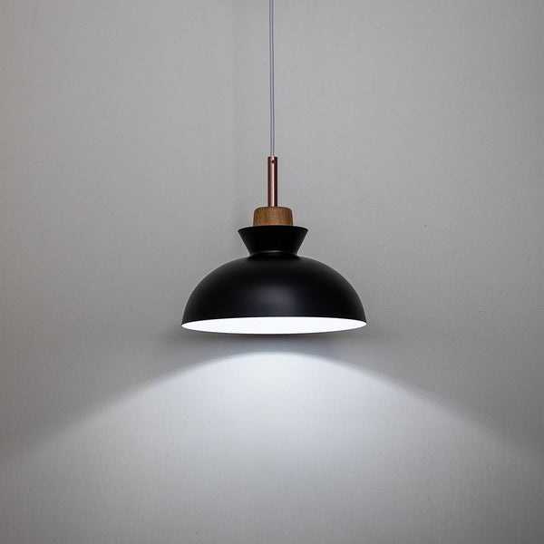 Thehouselights-Craftsman Style 1-Light Single Dome Pendant Light-Pendant-Black-