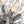 Thehouselights-Modern Crystal Sputnik Chandelier-Chandelier-12Lt-Gold